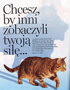 szkolenie charyzma