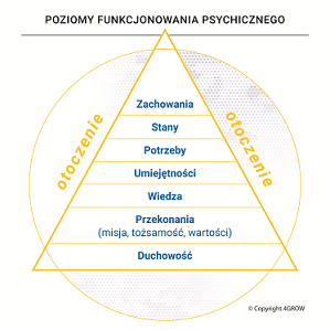 Poziomy Diltsa zmodyfikowane 4GROW
