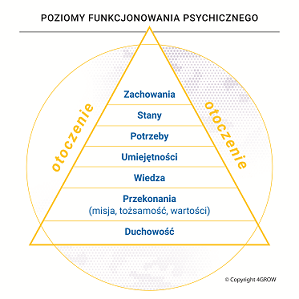Poziomy Diltsa zmodyfikowane 4GROW
